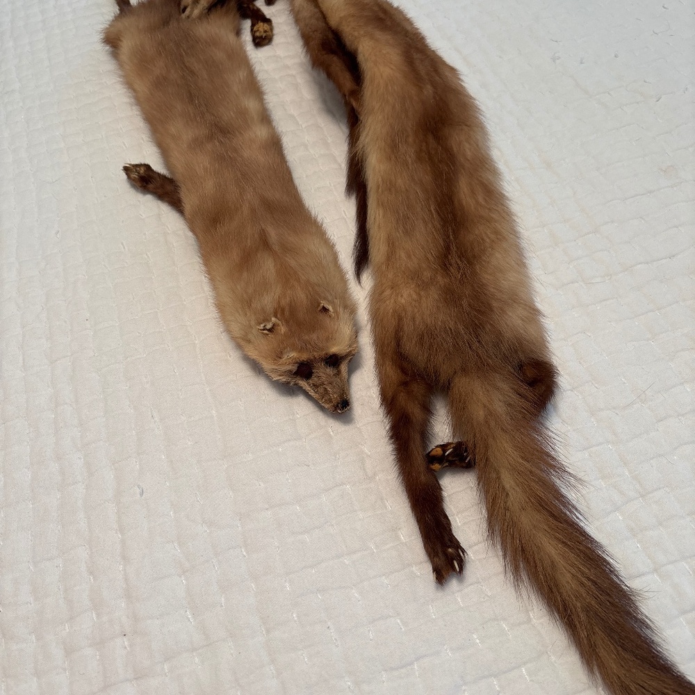 Grandma’s Vintage Fox Wrap